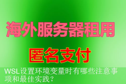 WSL设置环境变量时有哪些注意事项和最佳实践？