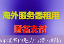vip域名的魅力与潜力解析-海外服务器