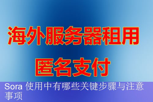 Sora 使用中有哪些关键步骤与注意事项