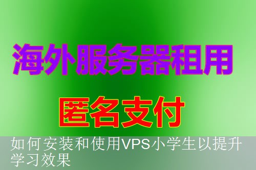 如何安装和使用VPS小学生以提升学习效果