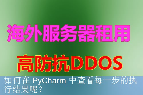如何在 PyCharm 中查看每一步的执行结果呢？