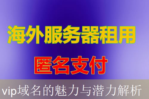 vip域名的魅力与潜力解析