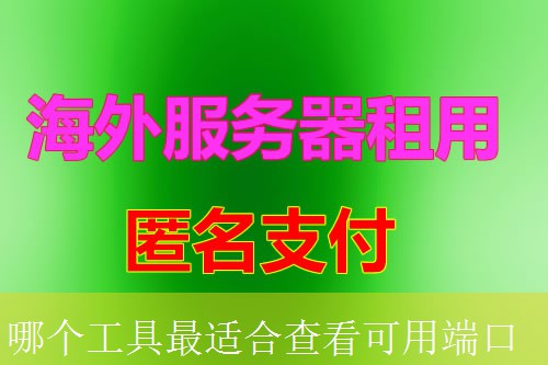 哪个工具最适合查看可用端口