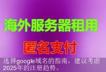 选择google域名的指南，建议考虑2025年的注册趋势。-海外服务器