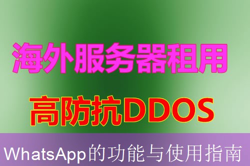 WhatsApp的功能与使用指南