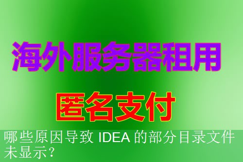 哪些原因导致 IDEA 的部分目录文件未显示？