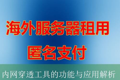 内网穿透工具的功能与应用解析