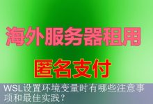WSL设置环境变量时有哪些注意事项和最佳实践？-海外服务器