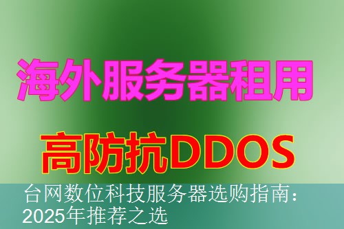 台网数位科技服务器选购指南：2025年推荐之选