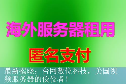 最新揭晓：台网数位科技，美国视频服务器的佼佼者！