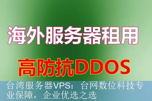 台湾服务器VPS：台网数位科技专业保障，企业优选之选