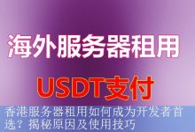 香港服务器租用如何成为开发者首选？揭秘原因及使用技巧-海外服务器