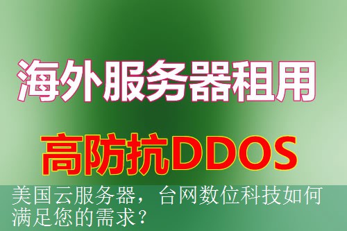 美国云服务器，台网数位科技如何满足您的需求？