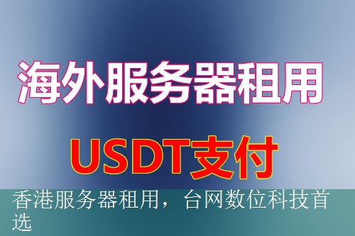 香港服务器租用，台网数位科技首选