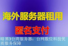 暗黑3台湾服务器：台网数位科技优质服务保障-海外服务器