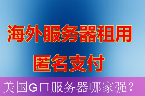 美国G口服务器哪家强？