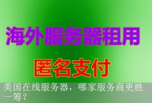 美国在线服务器，哪家服务商更胜一筹？-海外服务器