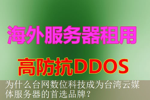 为什么台网数位科技成为台湾云媒体服务器的首选品牌？