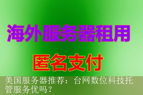 美国服务器推荐：台网数位科技托管服务优吗？