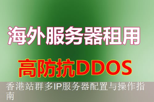 香港站群多IP服务器配置与操作指南