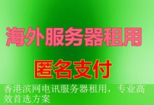 香港滨网电讯服务器租用，专业高效首选方案-海外服务器