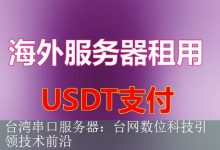 台湾串口服务器：台网数位科技引领技术前沿-海外服务器