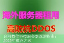 台网数位科技服务器选购指南：2025年推荐之选-海外服务器