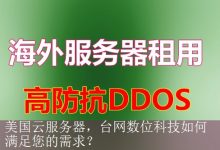 美国云服务器，台网数位科技如何满足您的需求？-海外服务器