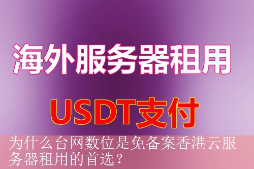 为什么台网数位是免备案香港云服务器租用的首选？
