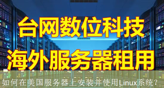 如何在美国服务器上安装并使用Linux系统？