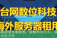 美国高防服务器推荐：破解网络攻击，保障网站安全无忧-海外服务器