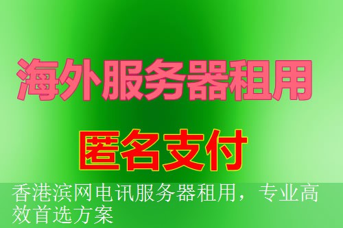 香港滨网电讯服务器租用，专业高效首选方案