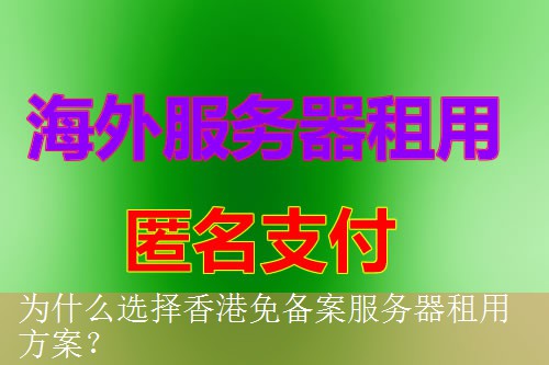 为什么选择香港免备案服务器租用方案？