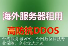 台湾服务器VPS：台网数位科技专业保障，企业优选之选-海外服务器