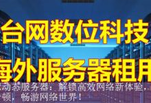 台湾动态服务器：解锁高效网络新体验，告别卡顿，畅游网络世界！-海外服务器