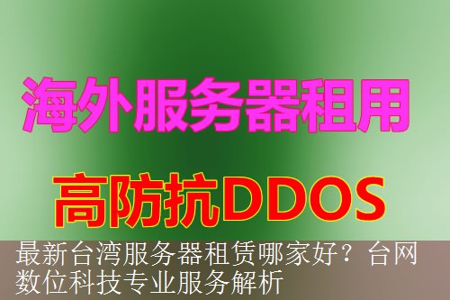 最新台湾服务器租赁哪家好？台网数位科技专业服务解析